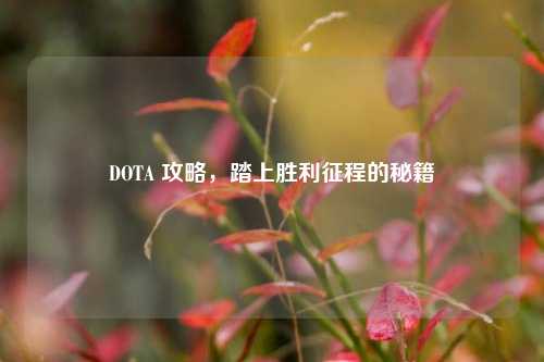 DOTA 攻略，踏上胜利征程的秘籍