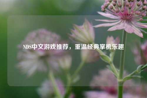 NDS中文游戏推荐，重温经典掌机乐趣
