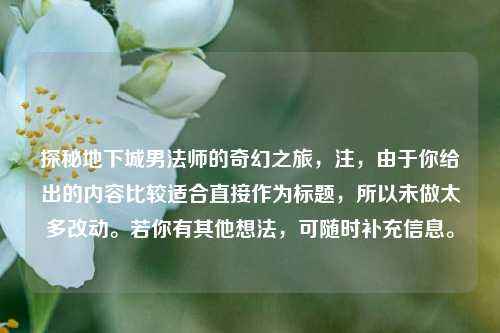 探秘地下城男法师的奇幻之旅，注，由于你给出的内容比较适合直接作为标题，所以未做太多改动。若你有其他想法，可随时补充信息。