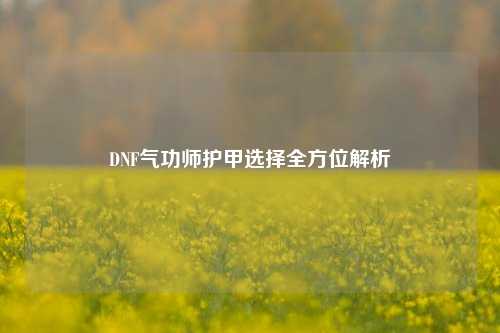 DNF气功师护甲选择全方位解析