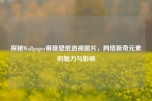 探秘Wallpaper麻匪壁纸透视图片，网络新奇元素的魅力与影响