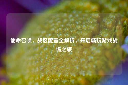 使命召唤，战区配置全解析，开启畅玩游戏战场之旅