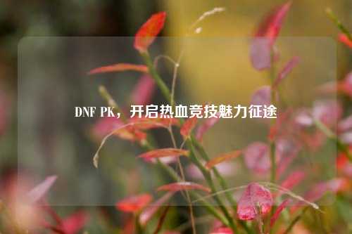 DNF PK，开启热血竞技魅力征途