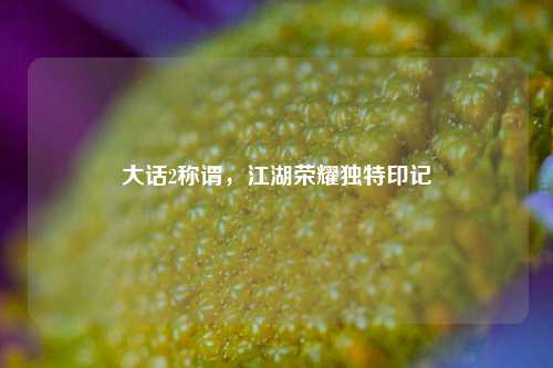 大话2称谓，江湖荣耀独特印记