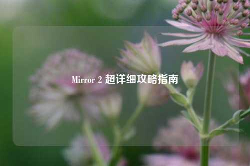 Mirror 2 超详细攻略指南