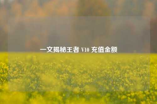 一文揭秘王者 V10 充值金额