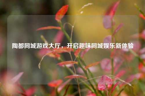 陶都同城游戏大厅，开启趣味同城娱乐新体验