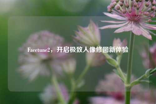 Facetune2，开启极致人像修图新体验
