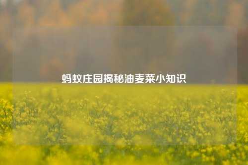 蚂蚁庄园揭秘油麦菜小知识