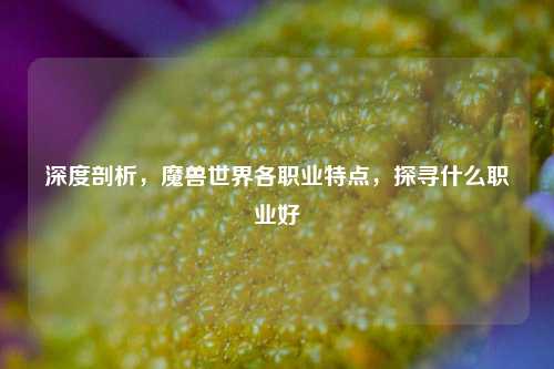深度剖析，魔兽世界各职业特点，探寻什么职业好