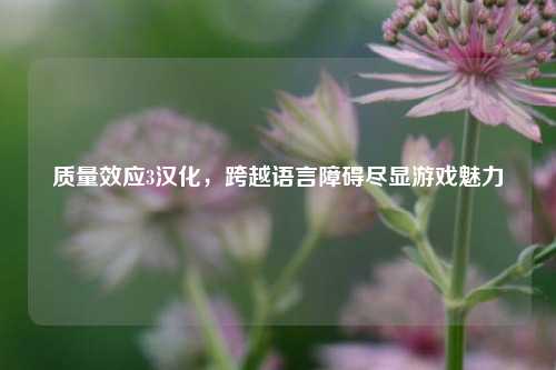 质量效应3汉化，跨越语言障碍尽显游戏魅力