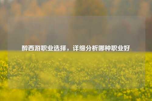 醉西游职业选择，详细分析哪种职业好