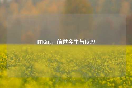 BTKitty，前世今生与反思