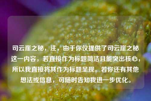 司云崖之秘，注，由于你仅提供了司云崖之秘这一内容，若直接作为标题简洁且能突出核心，所以我直接将其作为标题呈现。若你还有其他想法或信息，可随时告知我进一步优化。