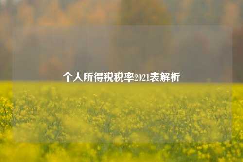 个人所得税税率2021表解析