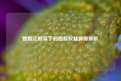 婚姻法框架下的婚假权益保障探析