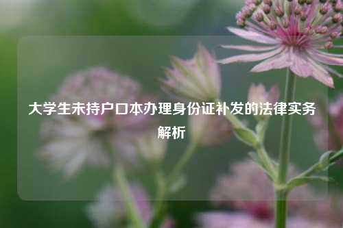 大学生未持户口本办理身份证补发的法律实务解析
