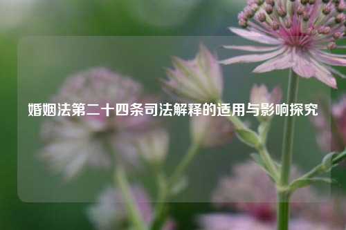婚姻法第二十四条司法解释的适用与影响探究