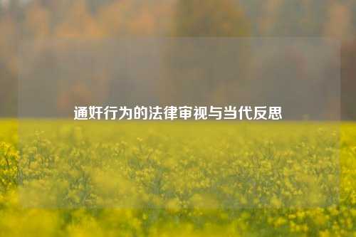 通奸行为的法律审视与当代反思