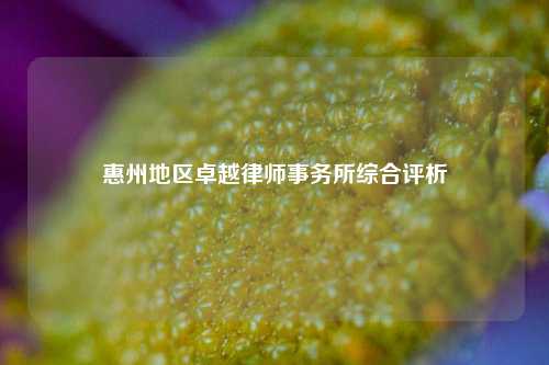 惠州地区卓越律师事务所综合评析