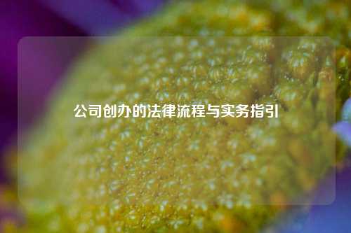 公司创办的法律流程与实务指引