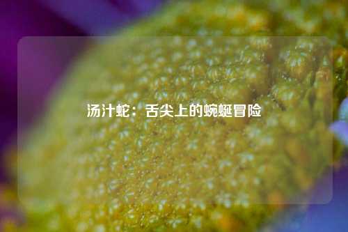 汤汁蛇：舌尖上的蜿蜒冒险