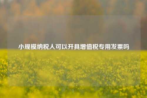 小规模纳税人可以开具增值税专用发票吗