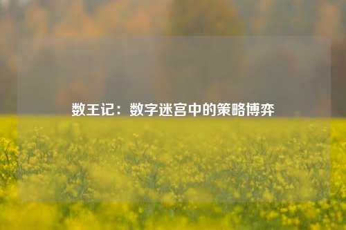 数王记：数字迷宫中的策略博弈