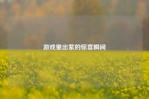 游戏里出紫的惊喜瞬间