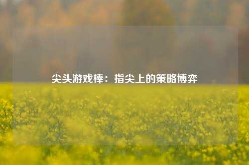 尖头游戏棒：指尖上的策略博弈