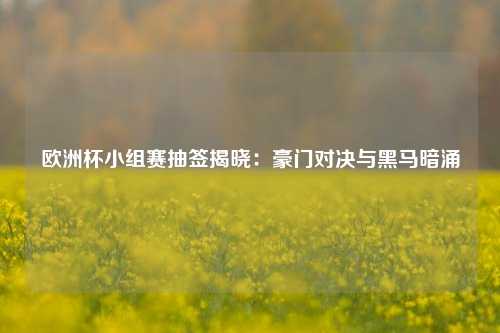 欧洲杯小组赛抽签揭晓：豪门对决与黑马暗涌